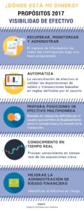 Porpositos de Visibilidad de Efectivo