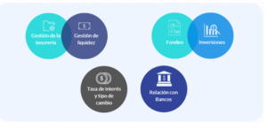 Funciones de un tesorero corporativo