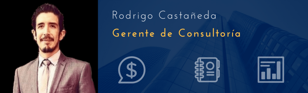 Rodrigo Castañeda - Gerente de Consultoría
